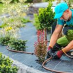 How To Choose A Qualified Landscaper