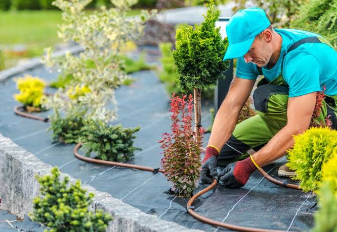 How To Choose A Qualified Landscaper