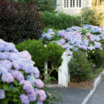 Top Three Shrubs To Use In Landscaping
