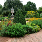 Transform Your Yard with Professional Landscaping Services