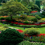 garden-landscaping