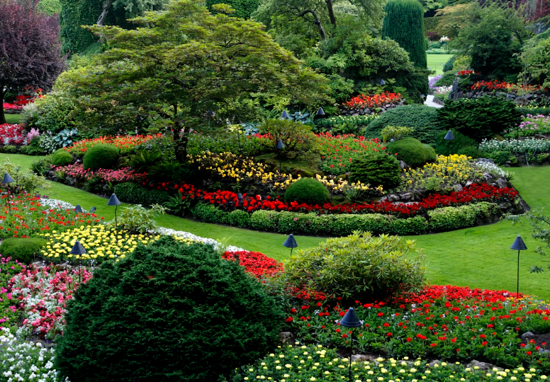 garden-landscaping