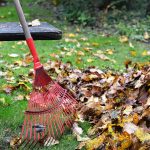 6 Toronto Fall Lawn Care Tips for a Lush Spring Yard