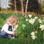 Spring Landscaping in Toronto: Curb Appeal Boost