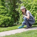 Transform Your Yard With This Simple Strategy