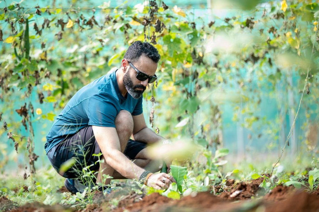 Man in sunglasses tends to Toronto gardening services.