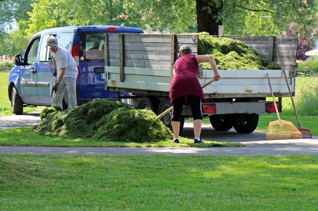 Toronto-gardening-and-landscaping-services