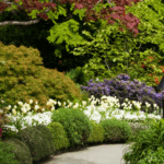Hire Top Gardening Services Without Regret for Summer 2025