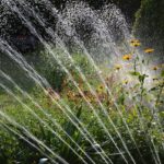 Set Up Efficient Irrigation Systems Easily with Pyramid Contracting professionals