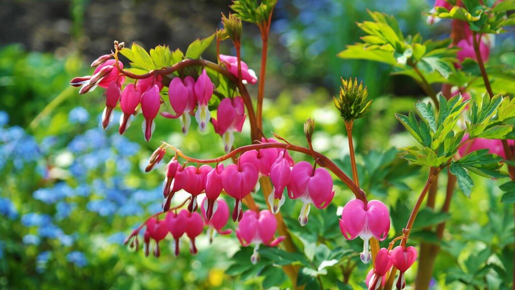 pink flowers landscape design services Toronto
