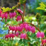Hire Pros For Beautiful Landscape Designs Summer 2025