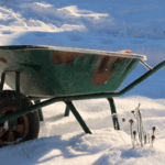 Freezing Green Spaces: Sustainable Winter Tactics for 2026