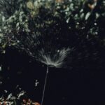 9 Sprinkler Shutdown Mistakes To Dodge in 2026