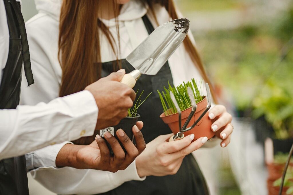 gardener eco landscaping