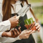 Can Eco Landscaping Survive A Toronto Heat Dome?