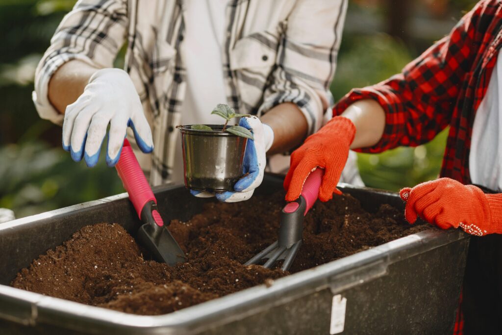 spring irrigation. gardeners.