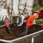 Spring Irrigation Tricks Ontario Gardeners Swear By