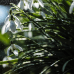 How To Set A Smart Late Spring Watering Schedule For Ontario Gardens