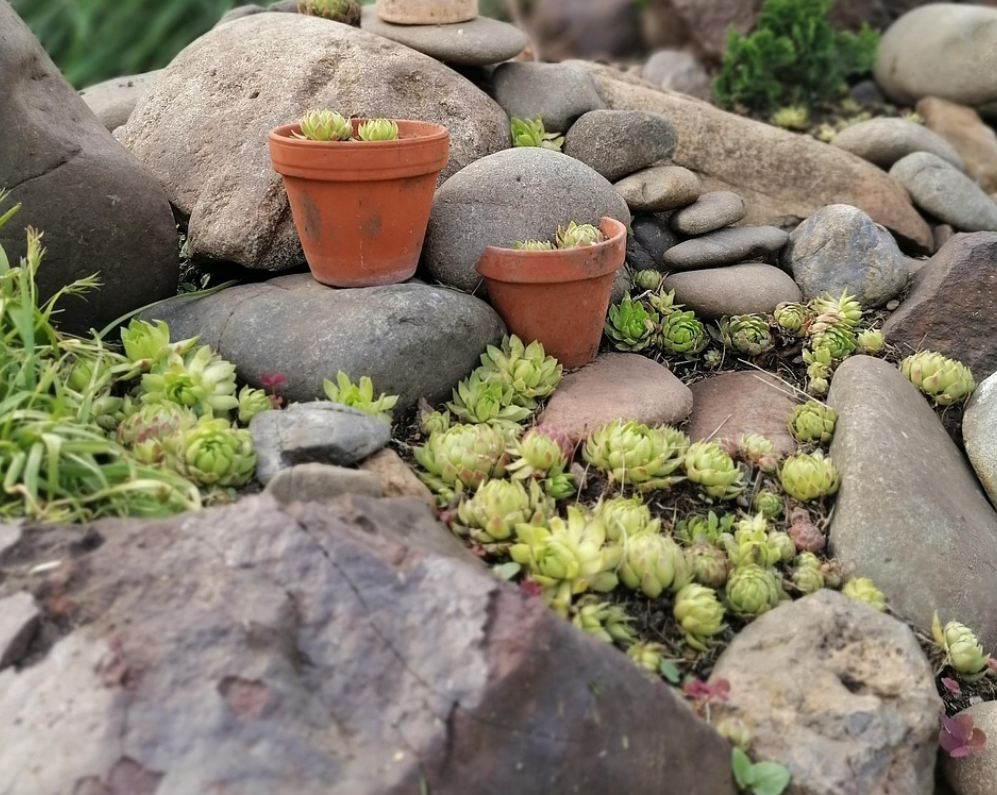 stone garden