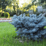 Make Your Property Look Sharp With Less Upkeep This Summer
